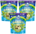Freeze Dried Kosher Dill Pickle Jumbo Chips (Can be Salty)