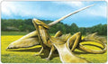 Yellow Dragon Playmat - Plain
