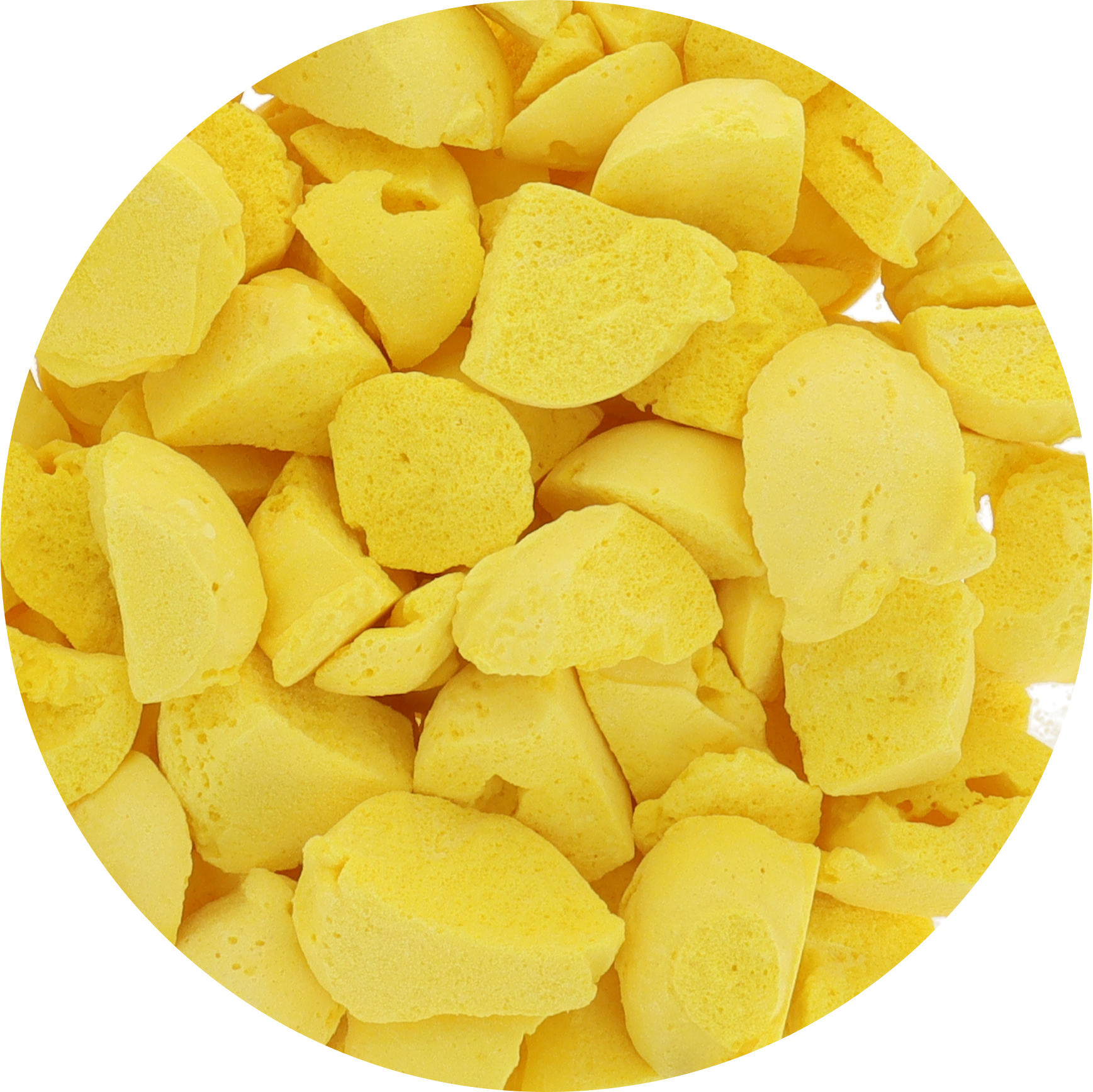 Freeze Dried Ice Cream That Does Not Melt (Bits) Lemon Custard