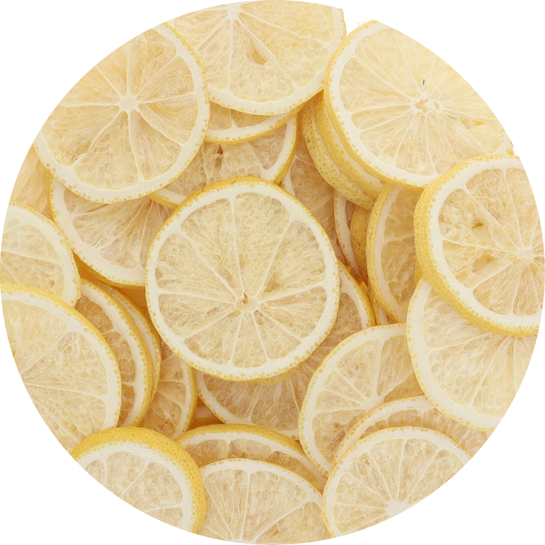 Freeze Dried Lemon Slices