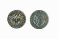 Fantasy Coins - Valkyrie Silver - 