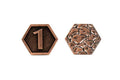 Fantasy Coins - Dungeon Floor 1 Value (10 Pack) - 