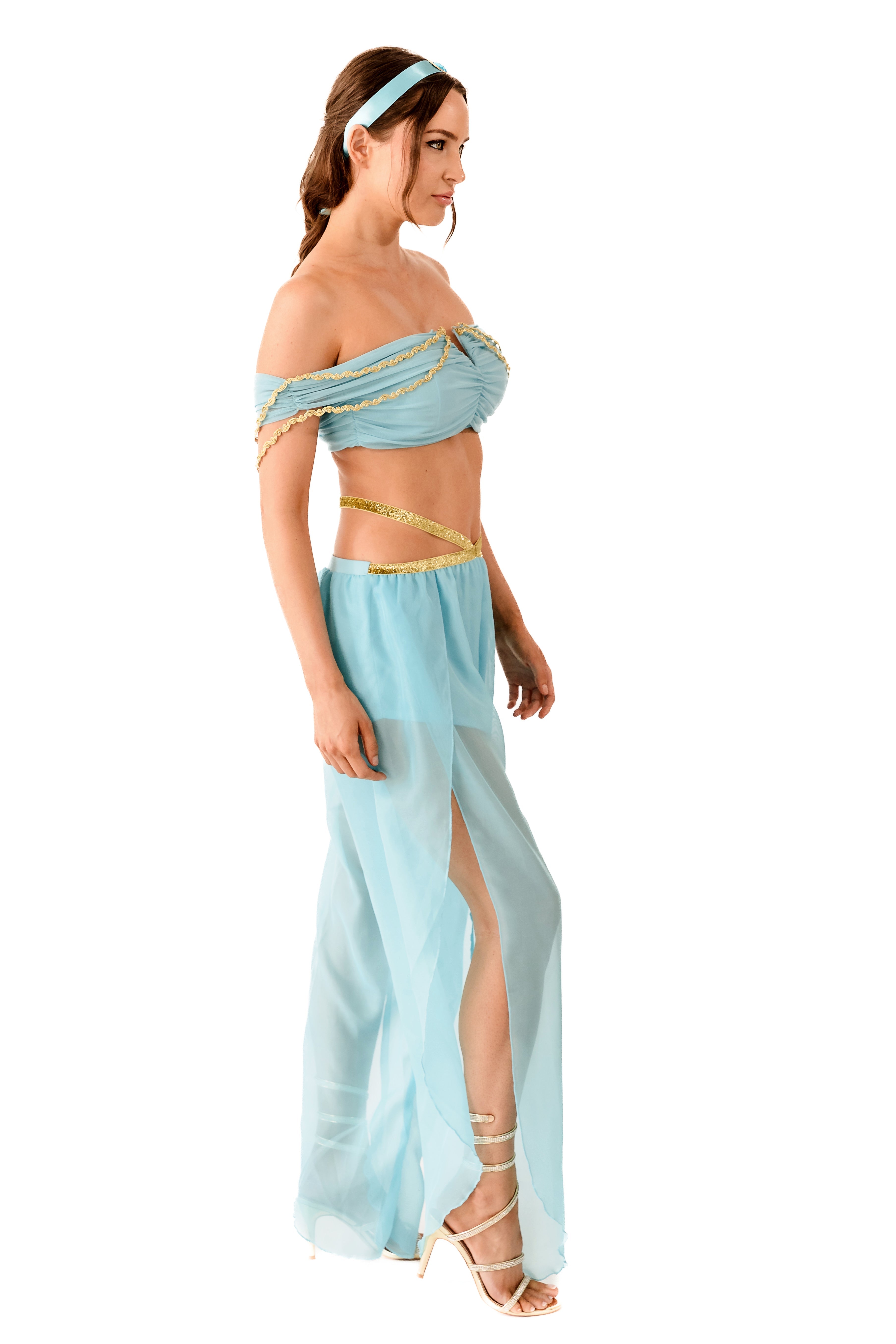 Arabian Static Princess Costume