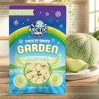 Freeze Dried Honeydew Melon