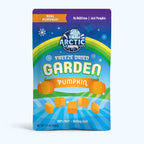 Freeze Dried Pumpkin