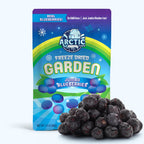 Freeze Dried Blueberries