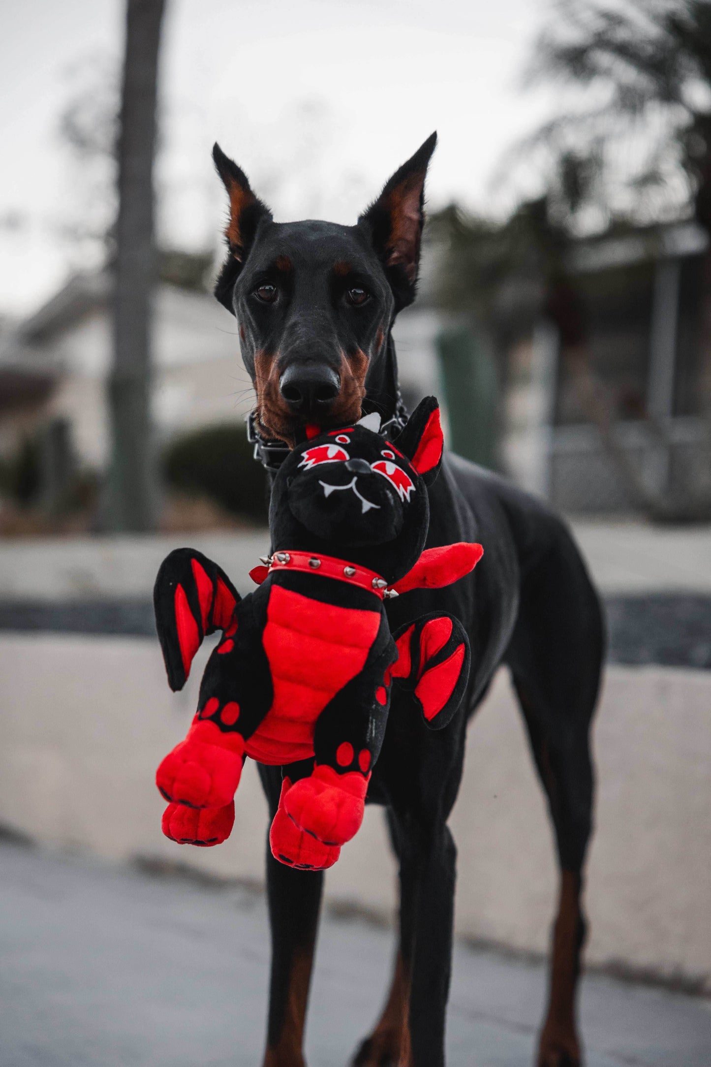 Magma Plush - 