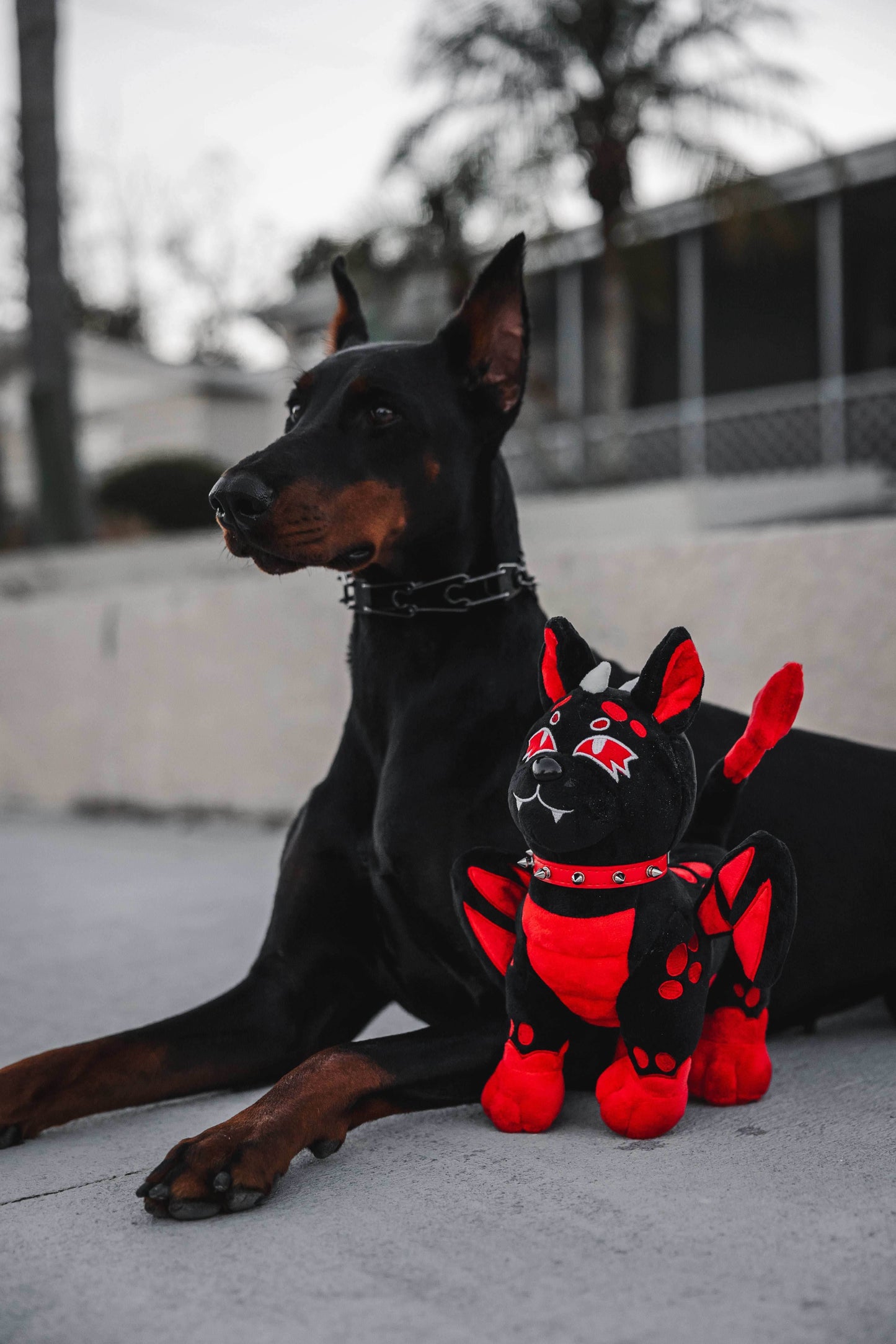 Magma Plush - 