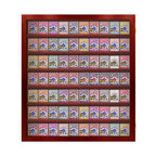 Playing Card Deck Display Case - Holds 70 Decks