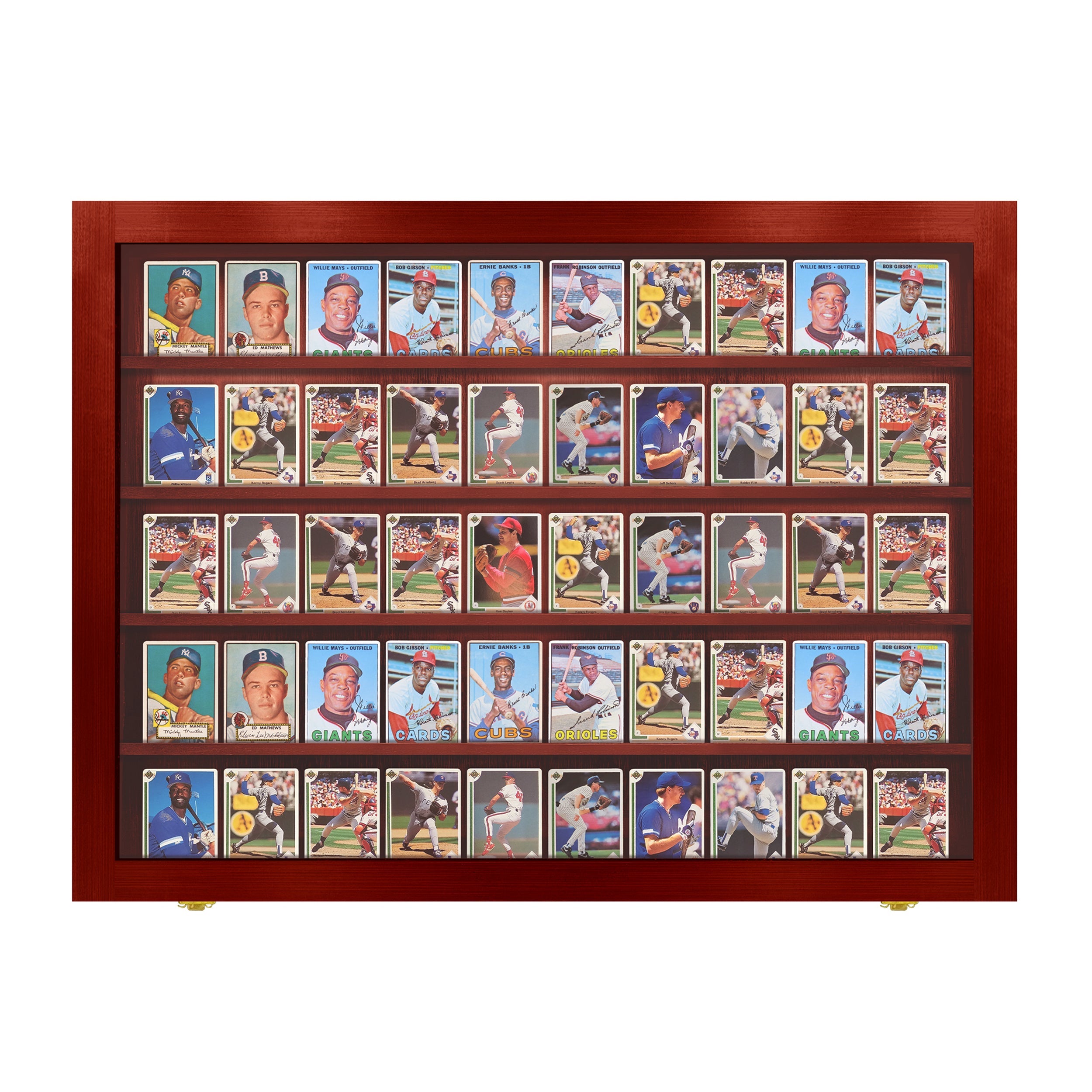 50 Ungraded - Card Display