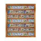 70 Ungraded - Card Display