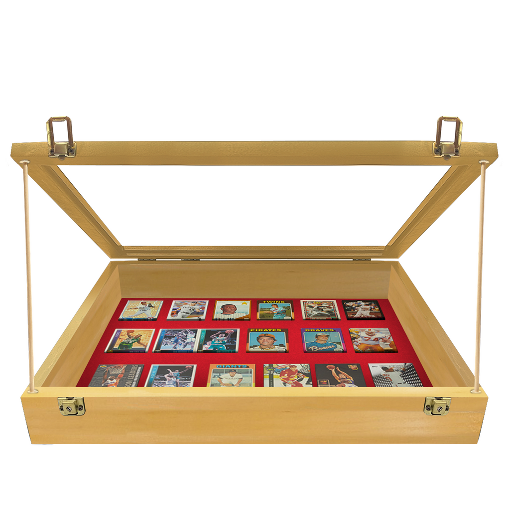 Trade Show Display Case - Small - 18 x 22 x 4"