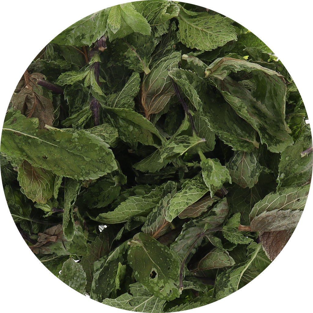 Freeze Dried Mint