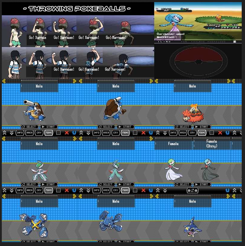 Pokemon Moon Black 2 NDS Video Game Nintendo DS with Box ROM Hack