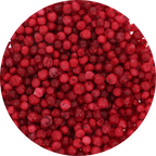 Freeze Dried Red Currant