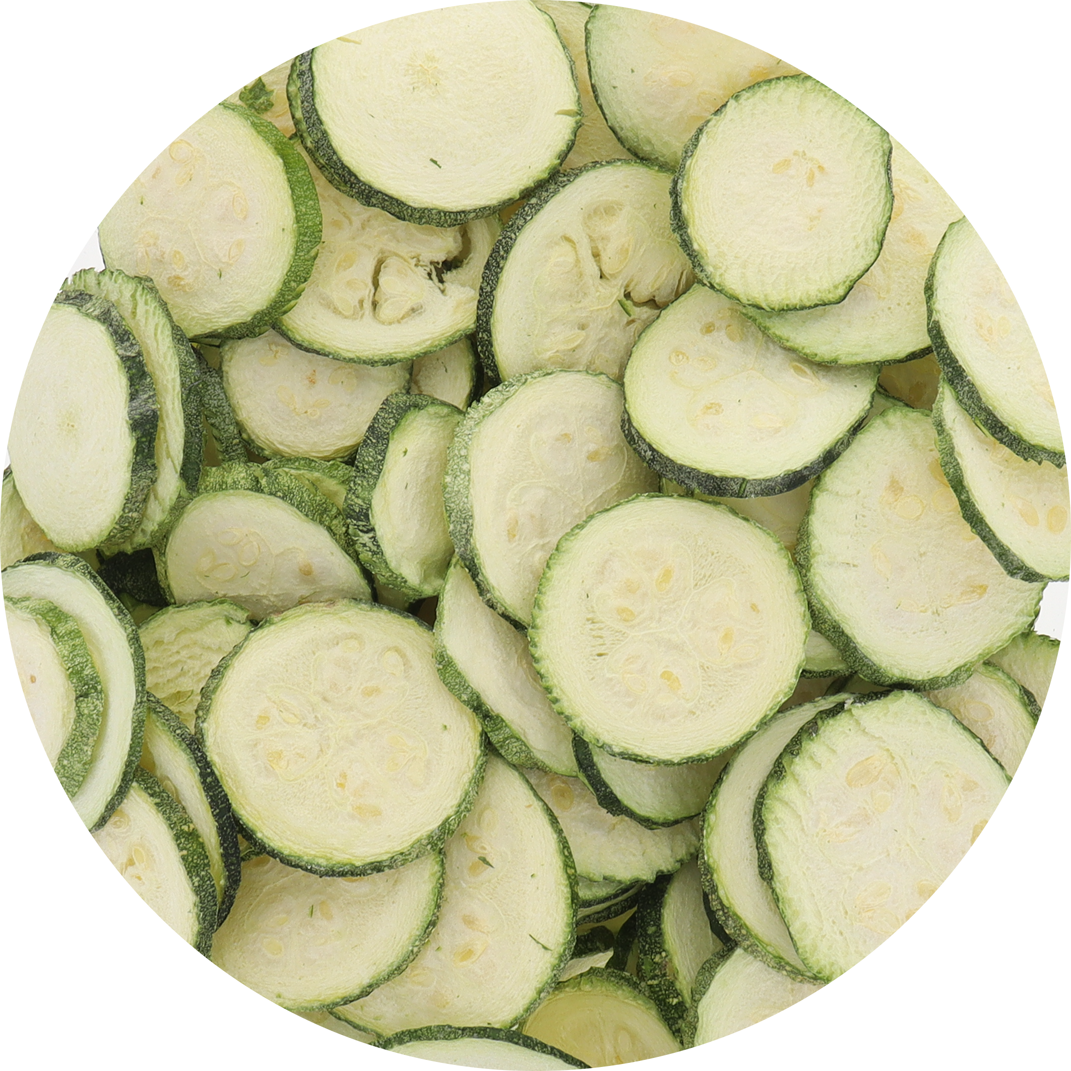 Freeze Dried Zucchini Chips