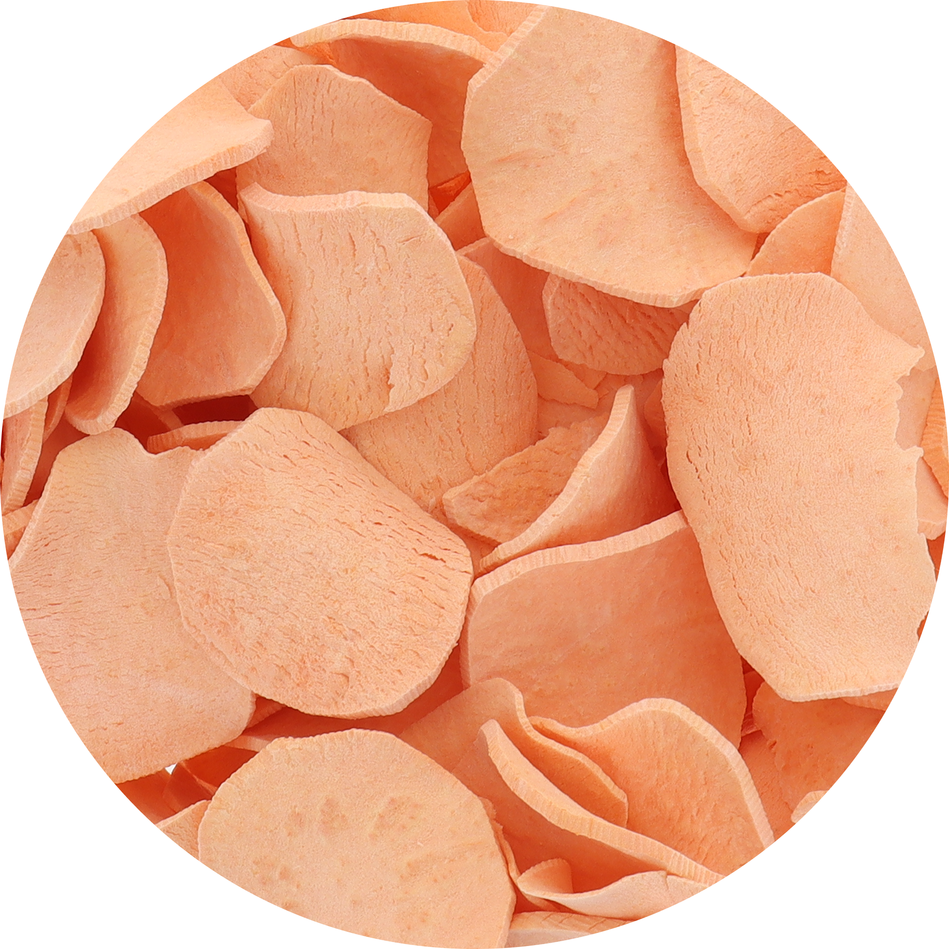 Freeze Dried Sweet Potato Chips