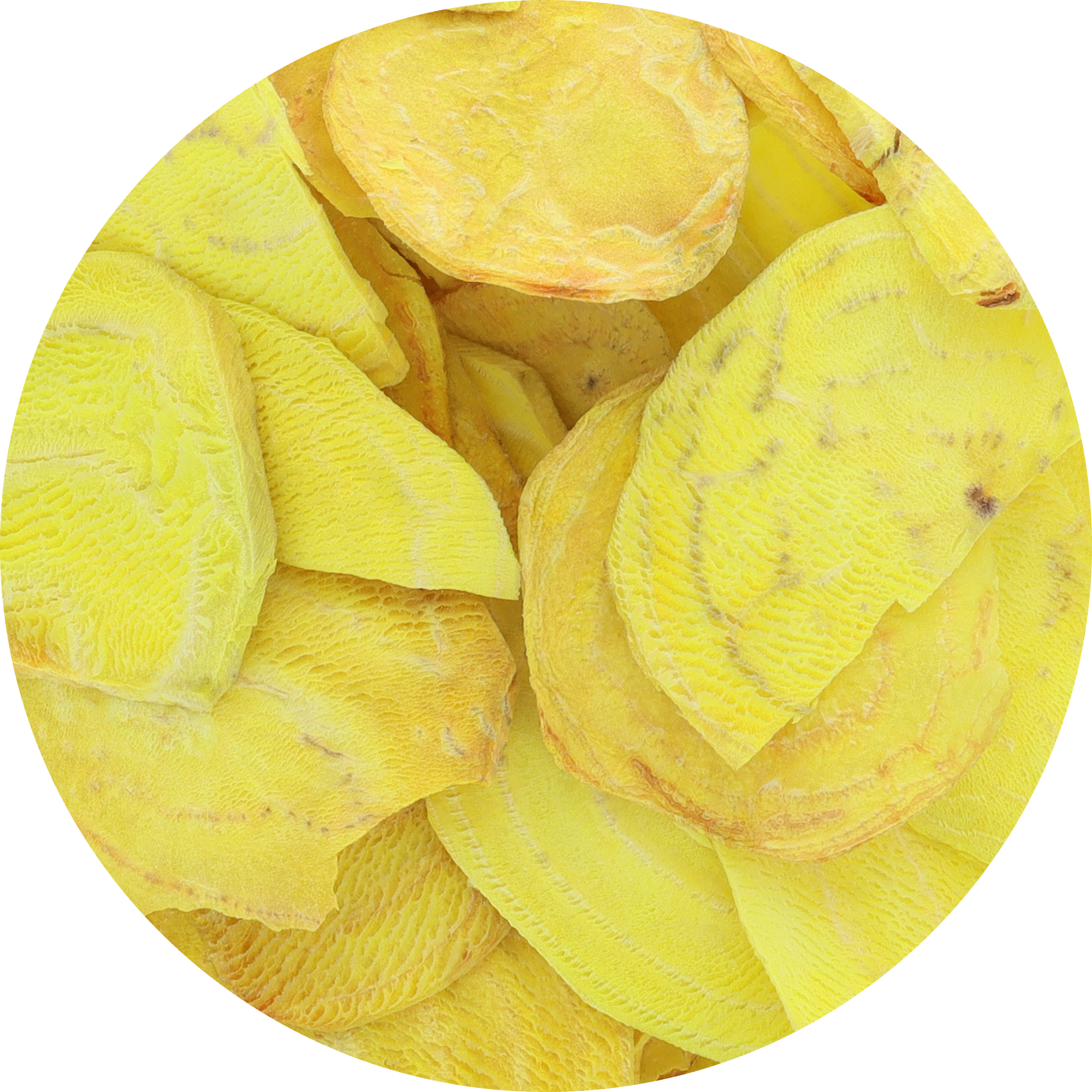 Freeze Dried Golden Beet Chips