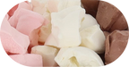 Freeze Dried Ice Cream That Does Not Melt (Bits) Neapolitan