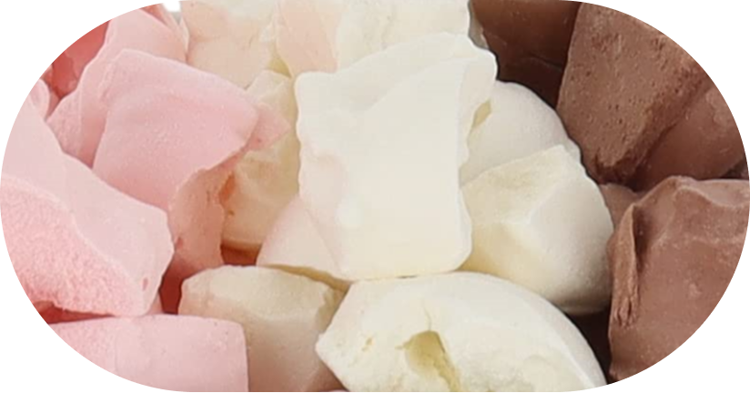 Freeze Dried Ice Cream That Does Not Melt (Bits) Neapolitan