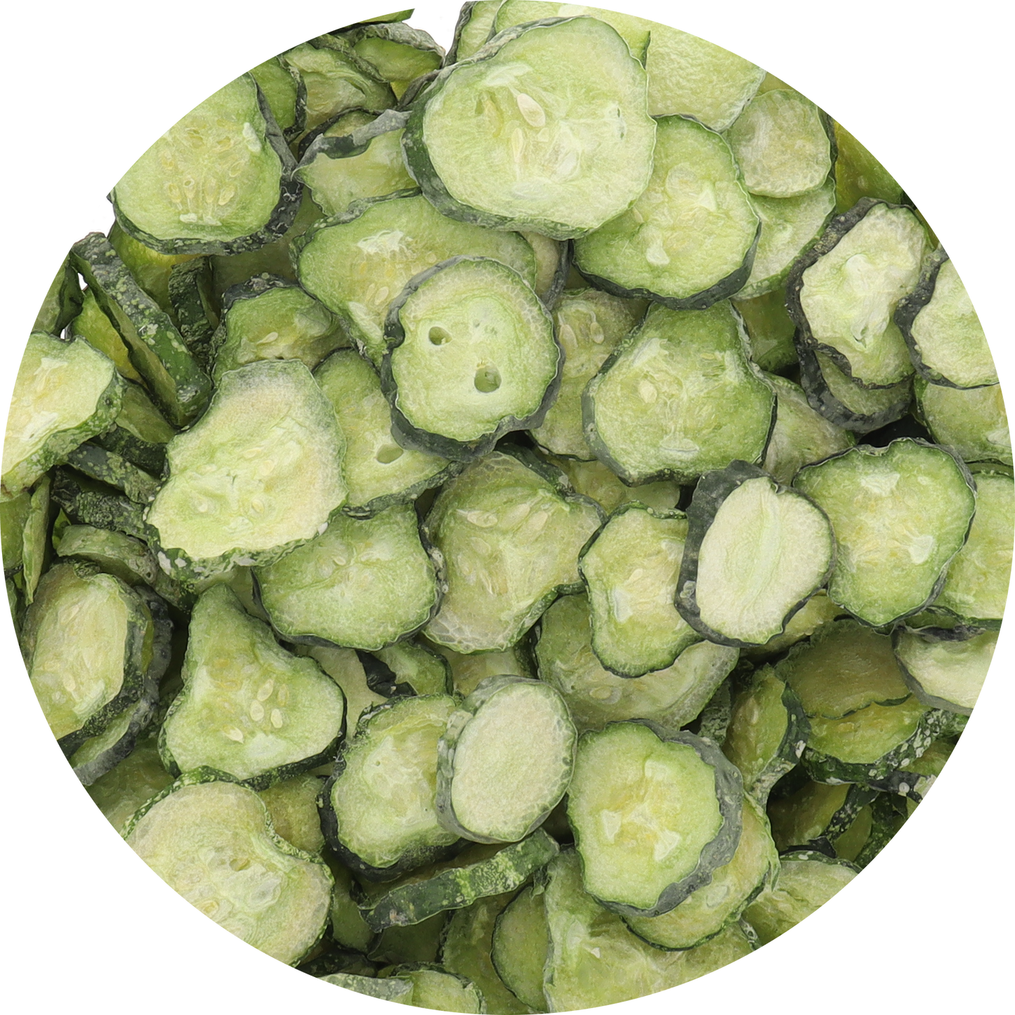 Freeze Dried New Pickle Chips from The Pickle Guys (Minimal Salt)