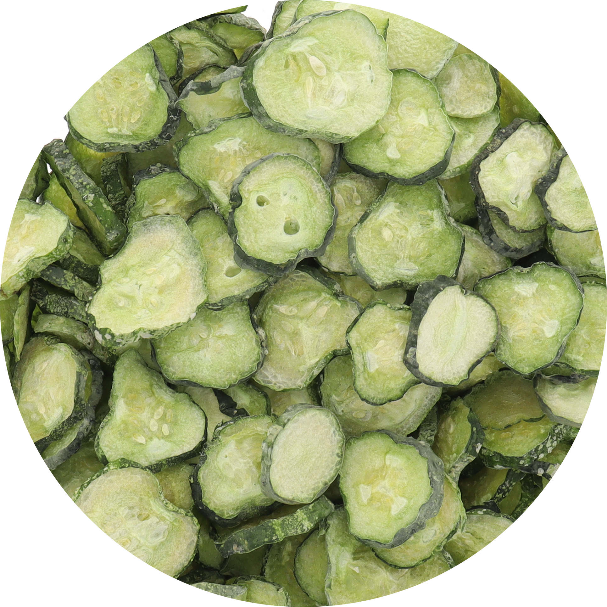 Freeze Dried New Pickle Chips from The Pickle Guys (Minimal Salt)