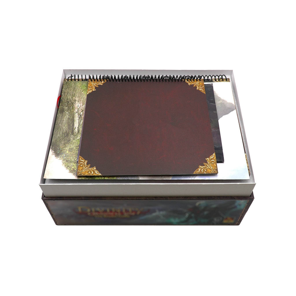 Divinity: Original Sin Compatible Expansion Organizer - 