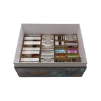 Divinity: Original Sin Compatible Expansion Organizer - 