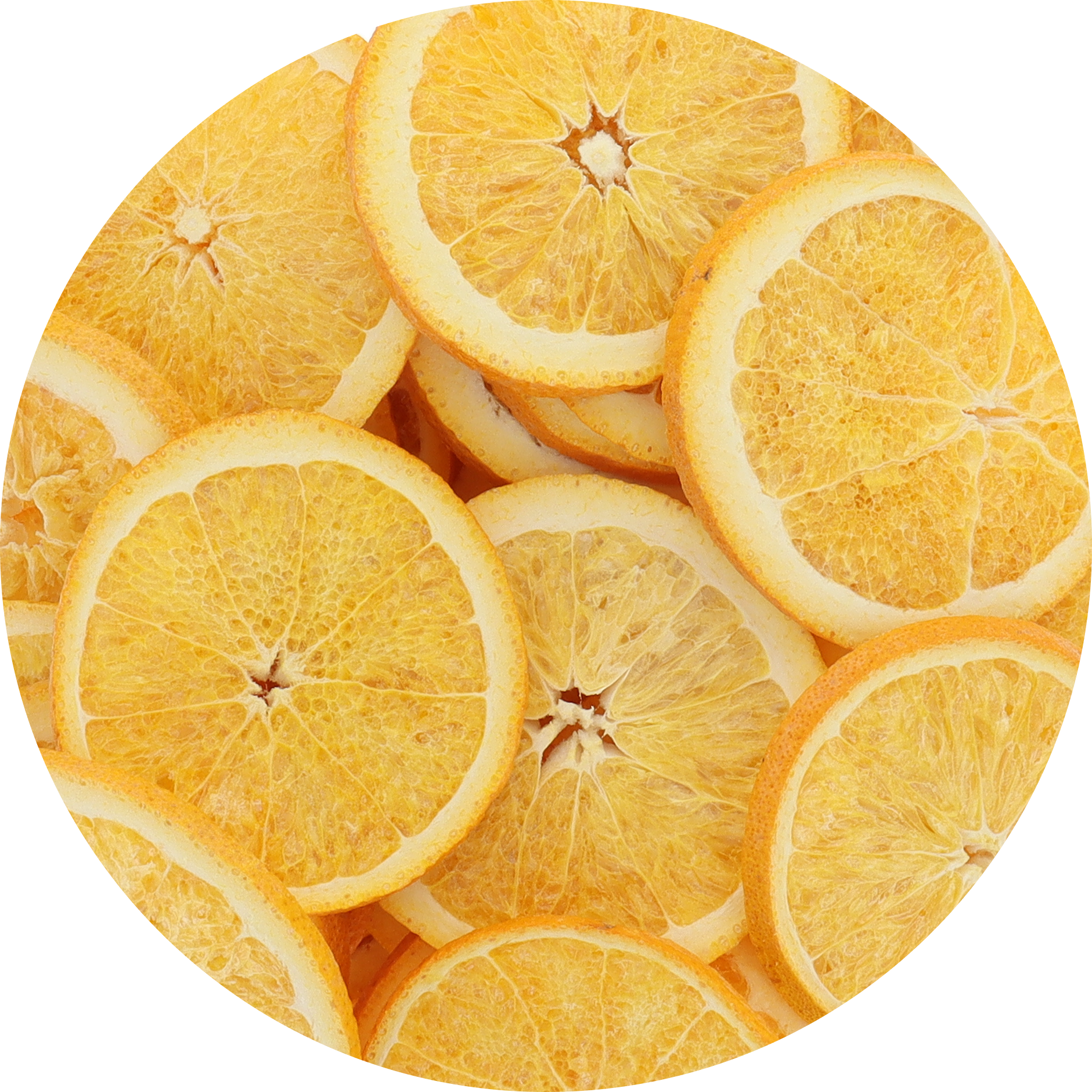 Freeze Dried Orange Slices