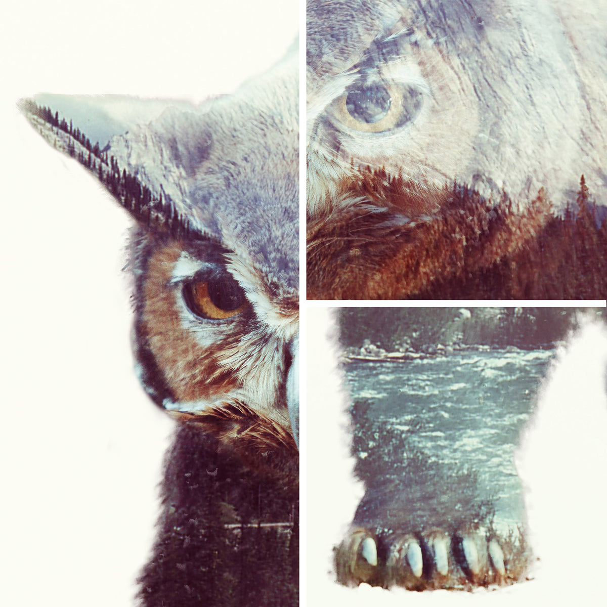 Owlbear D&D Art Print