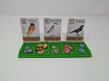 Resource and Card Holder