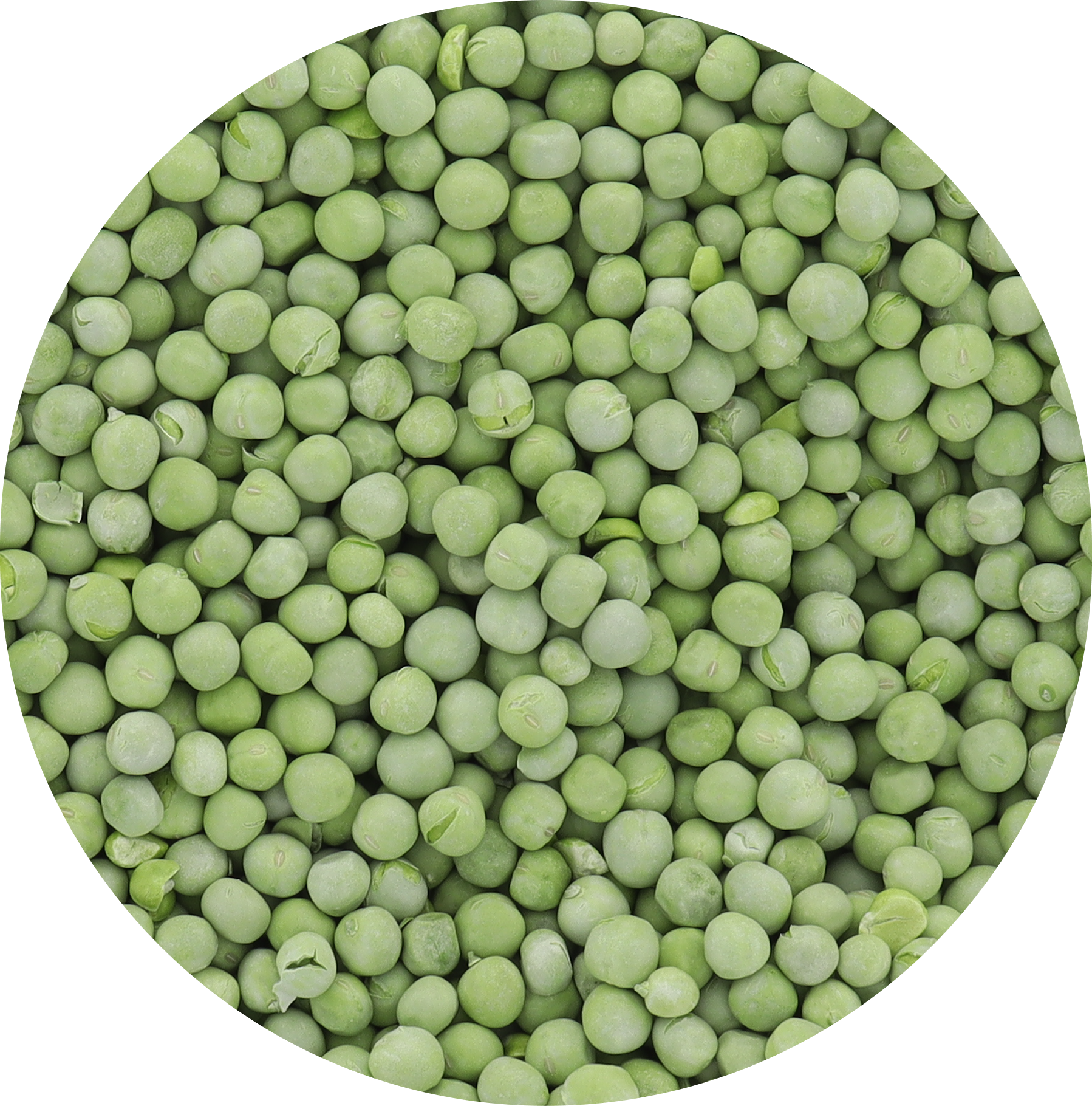 Freeze Dried Peas