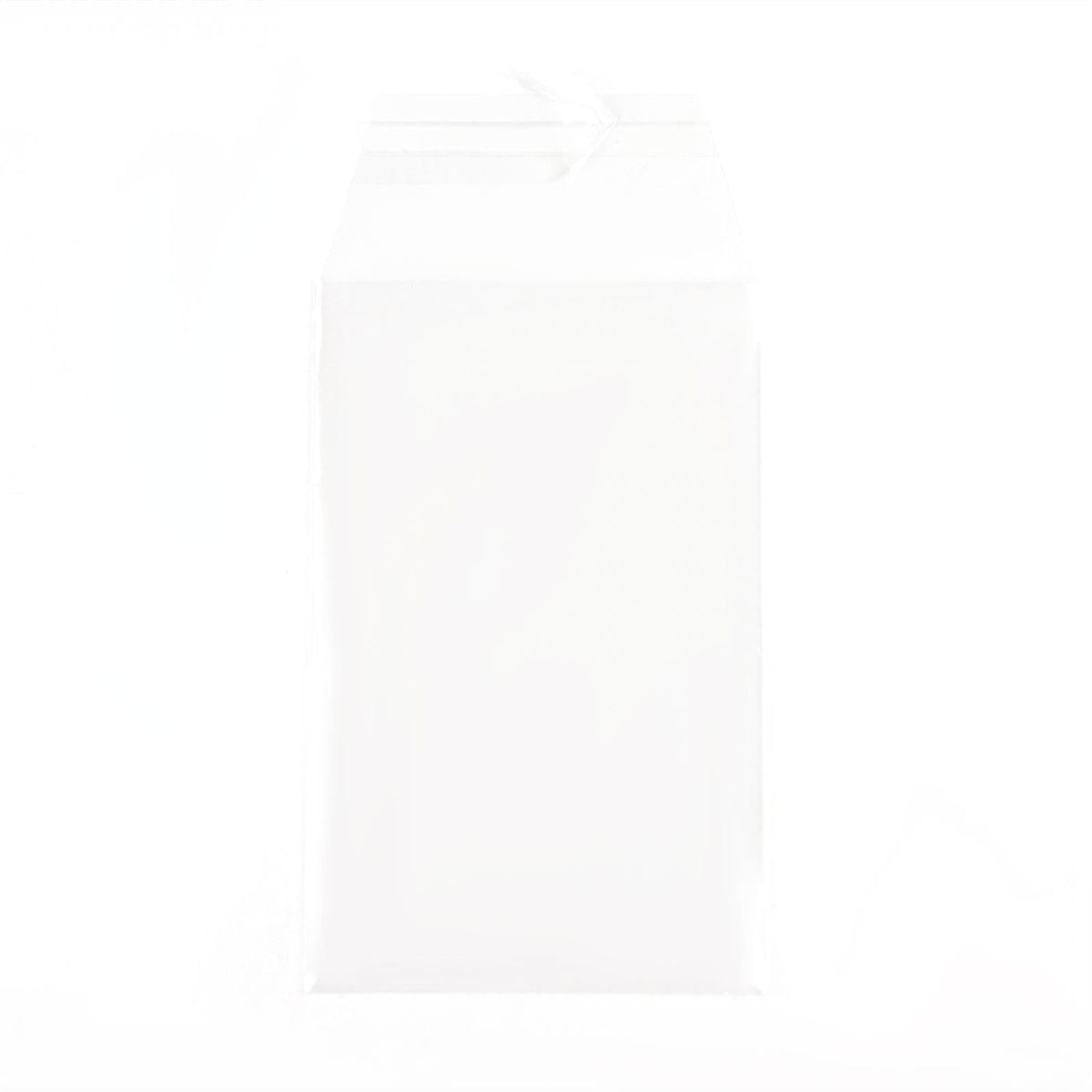 Perfect Fit PSA Graded Card Sleeves (100 count)