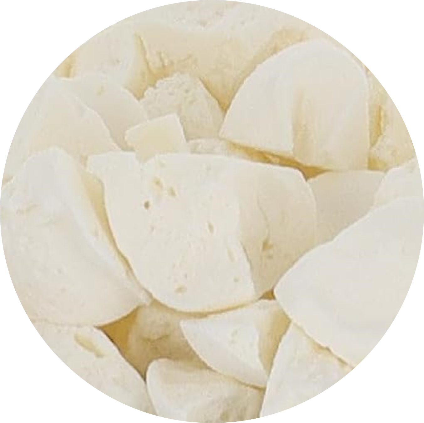 Freeze Dried Ice Cream That Does Not Melt (Bits) Pina Colada