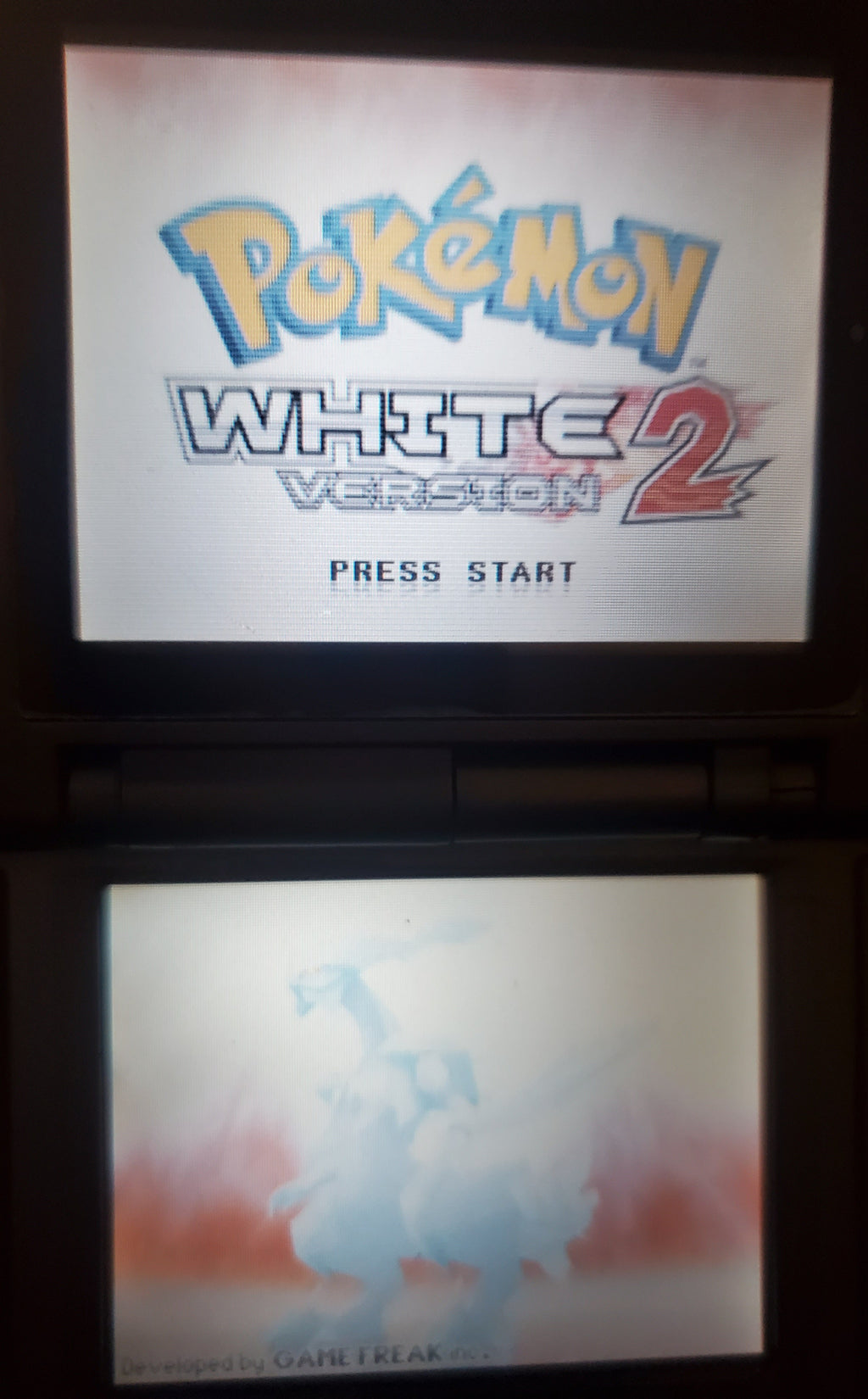 Pokemon Volt White 2 NDS Video Game Cartridge Nintendo DS ROM Hack