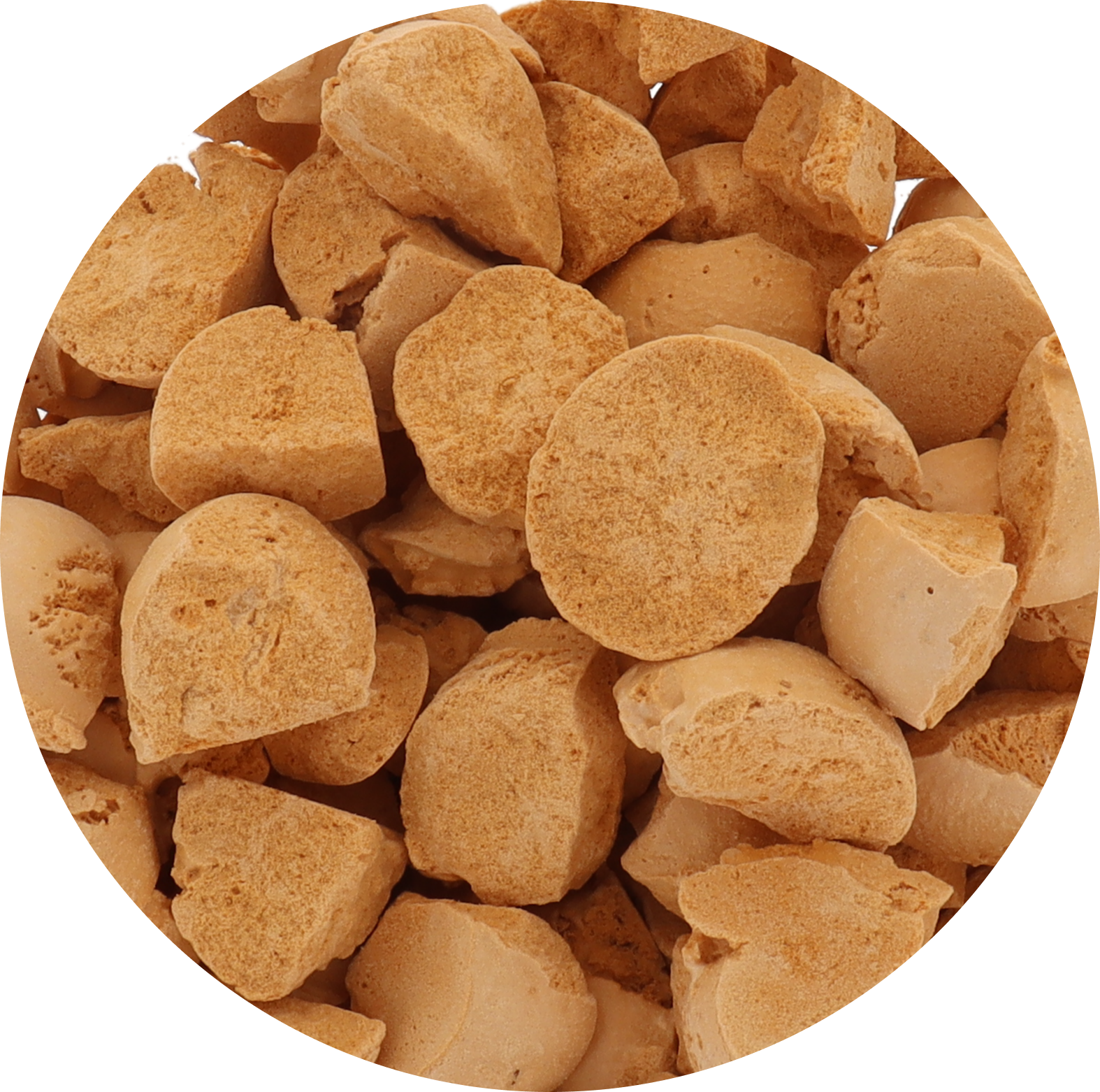 Freeze Dried Ice Cream That Does Not Melt (Bits) Pumpkin Pie