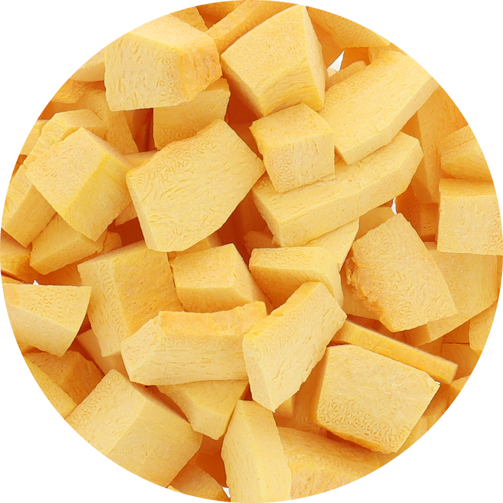 Freeze Dried Pumpkin