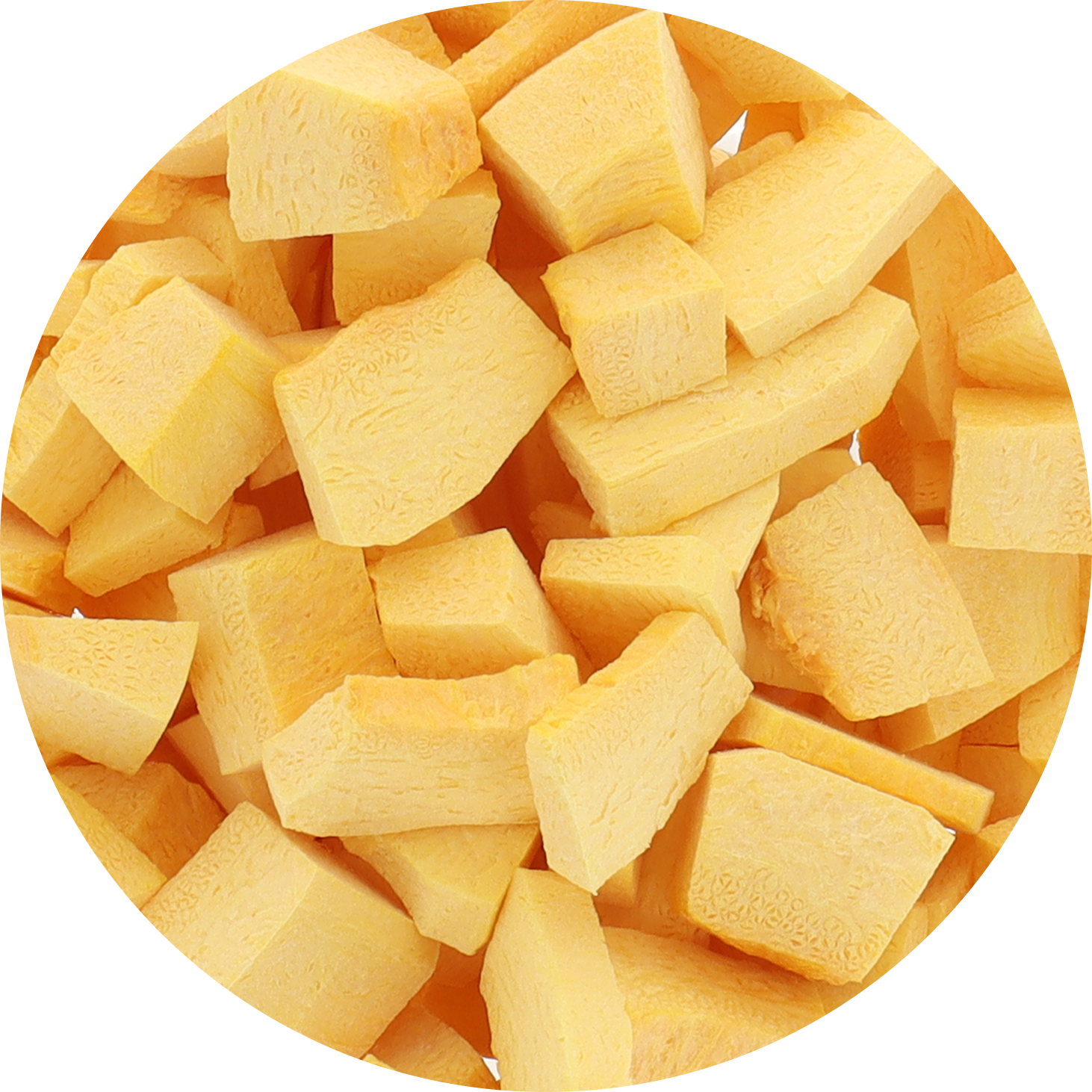 Freeze Dried Pumpkin