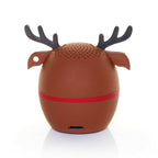 Reindeer - 