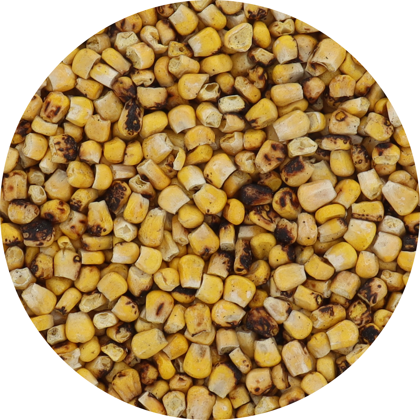Freeze Dried Corn - Plain