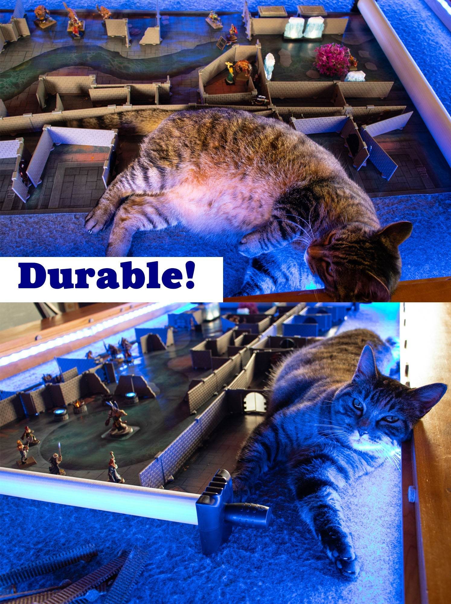 Long Walls Expansion - 