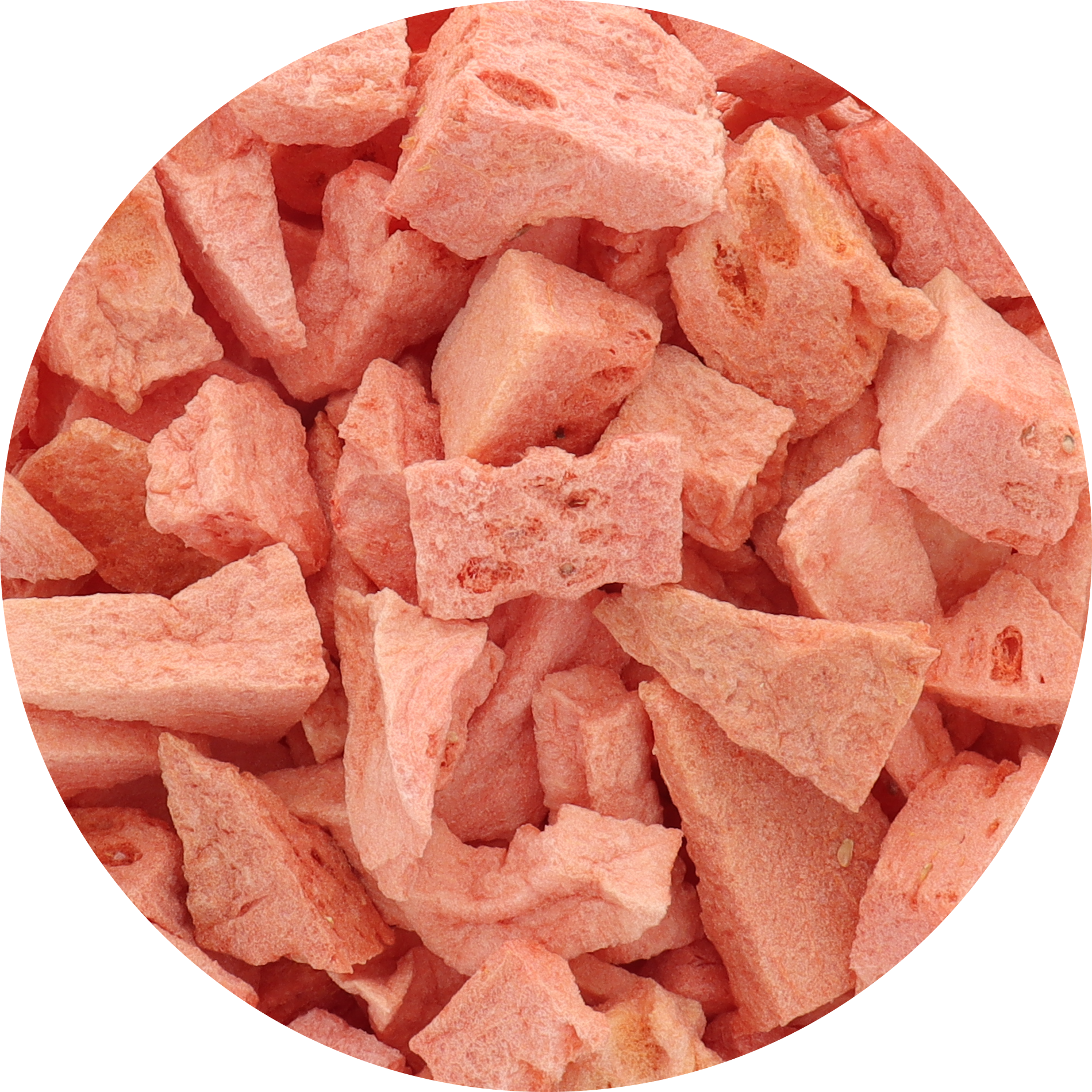 Freeze Dried Watermelon