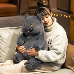 Kawaii British Shorthair Cat Plush Toy – Chubby Stuffed Cat Hug Pillow