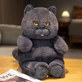 Kawaii British Shorthair Cat Plush Toy – Chubby Stuffed Cat Hug Pillow