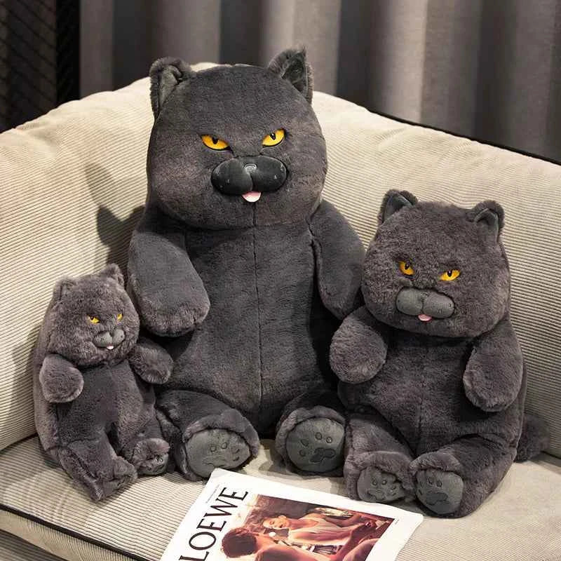 Kawaii British Shorthair Cat Plush Toy – Chubby Stuffed Cat Hug Pillow