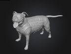 Dogs - Nora - 28mm (SLA001)