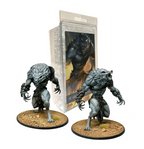 Crusader Army Faction Box