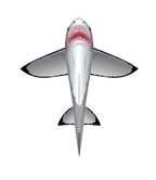 SeaLife 60 inch tall Nylon Shark Kite - 