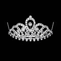 Mini Crystal Rhinestone Pave Princess Tiara