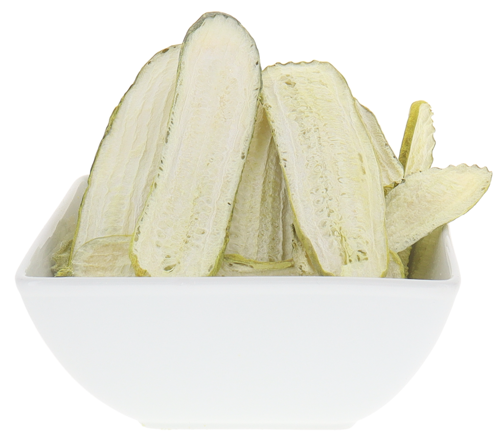 Freeze Dried Kosher Dill Pickle Slices from Jersey Pickles